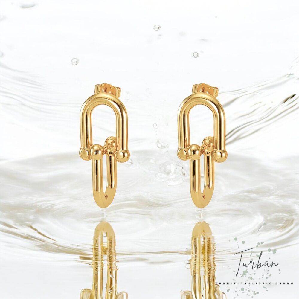 Chain Link Earrings